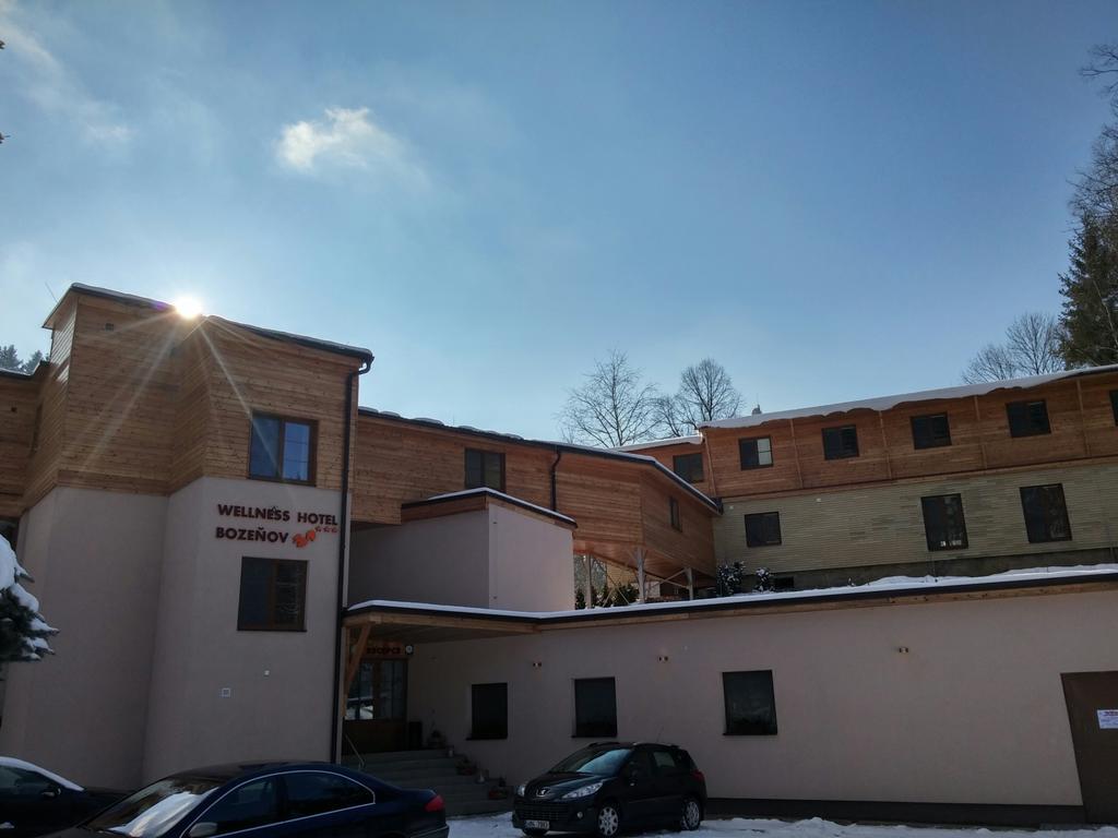 Wellness Hotel Bozenov زابريه المظهر الخارجي الصورة